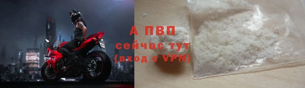 ECSTASY Богородск
