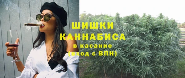ECSTASY Богородск