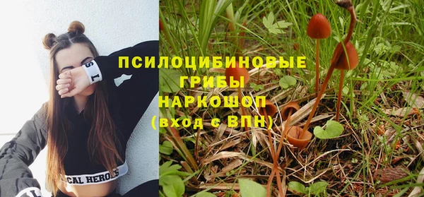 бошки Богородицк